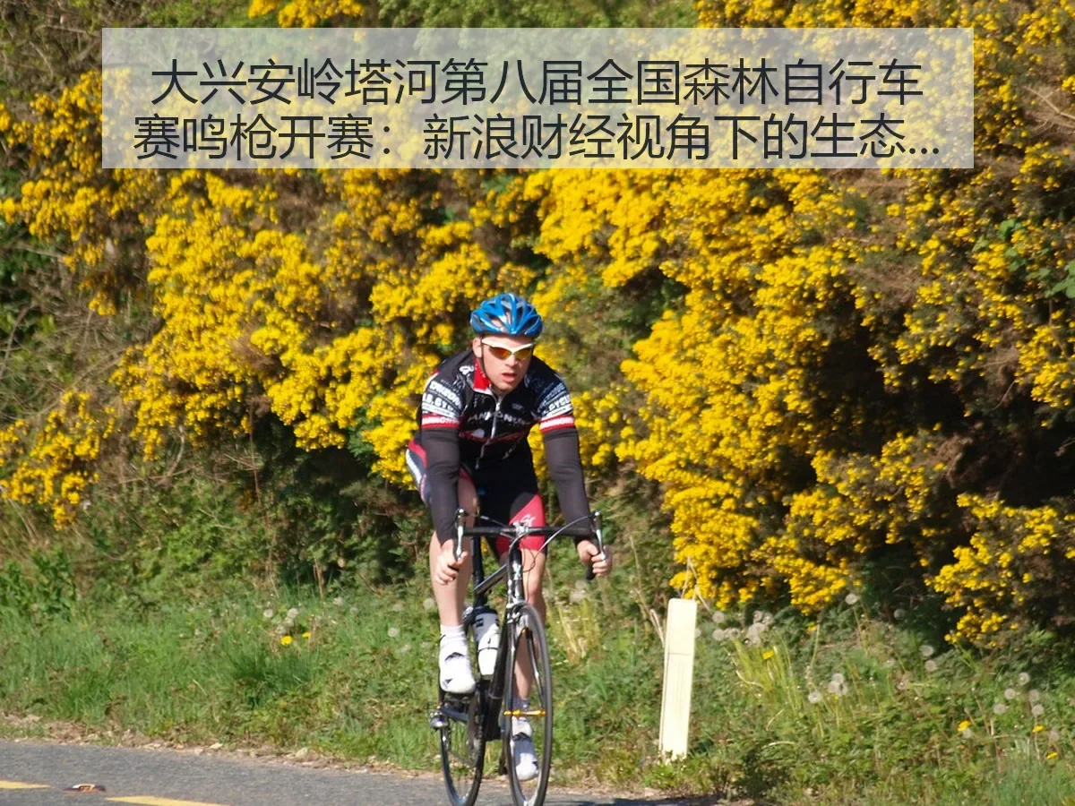 大兴安岭塔河第八届全国森林自行车赛鸣枪开赛：生态体育观察